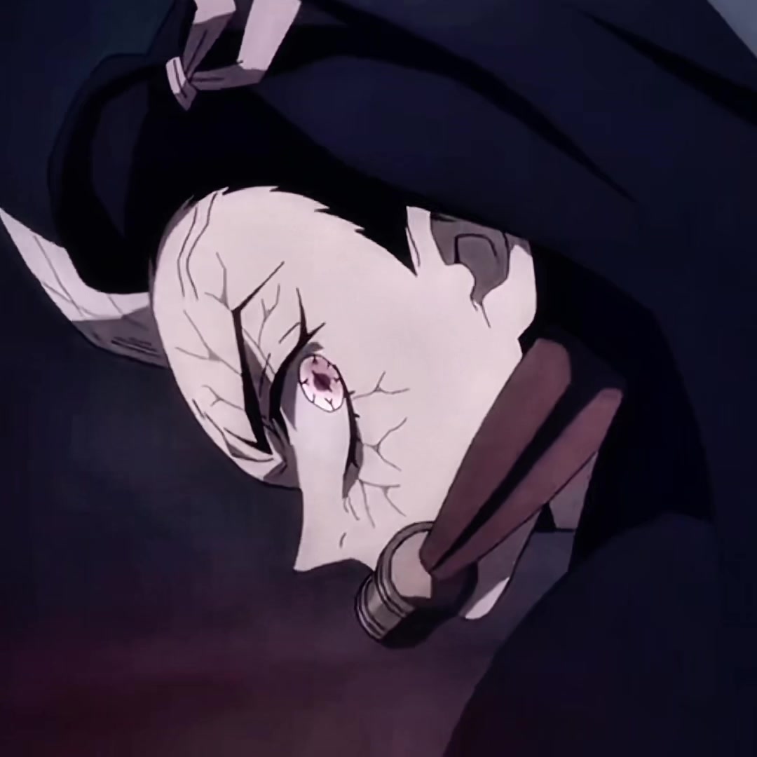 @⋆. 🌸 ˚ thea ⋆ nezuko’s ˖ ✧ 🌸
