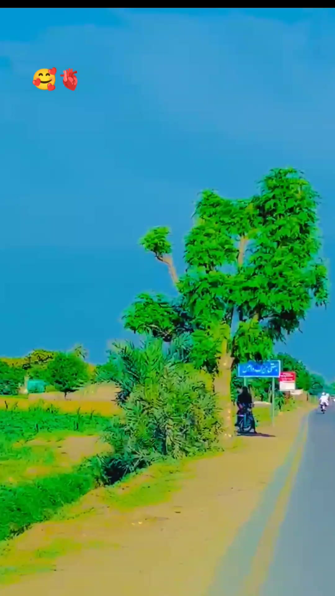 @pull Massa Kotha Queen 🦋