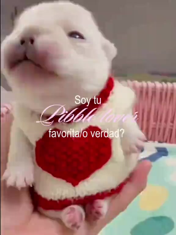 @pibblenagirii