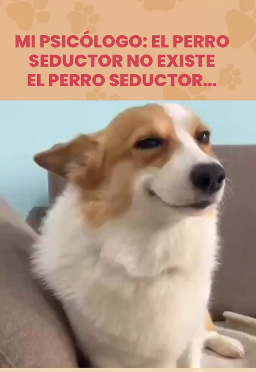 @Petlife