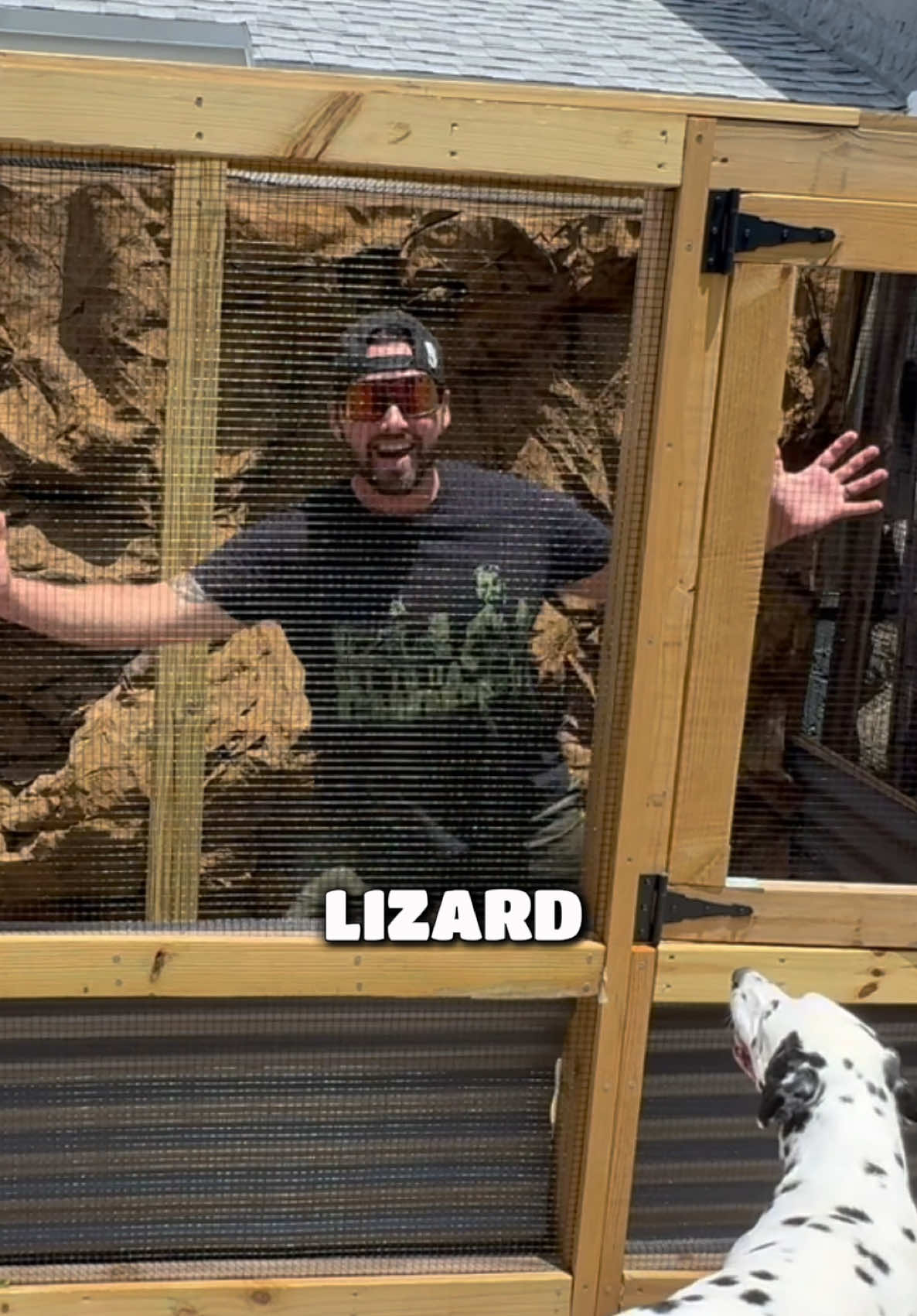@Tommys_reptiles