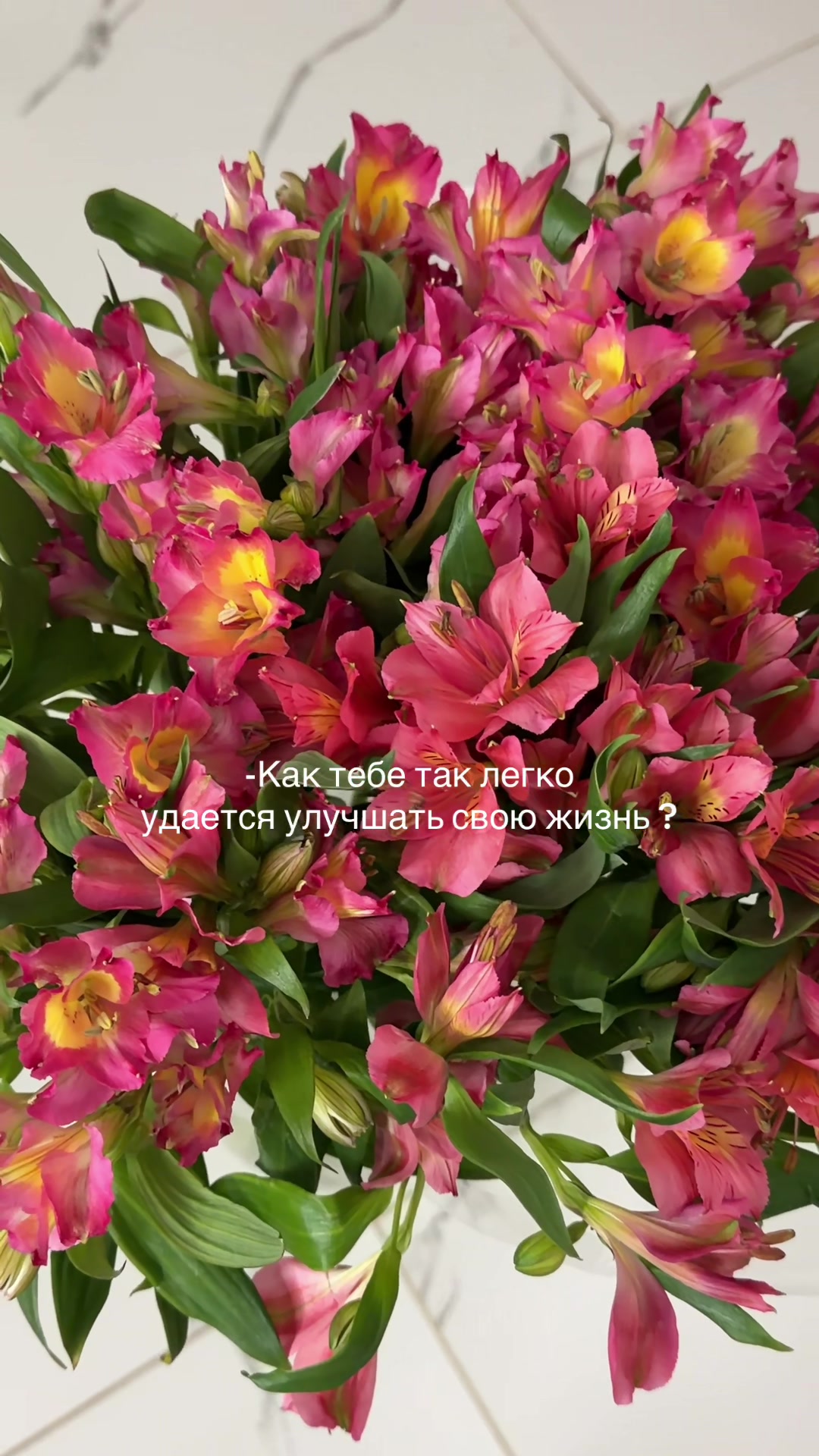 @🛍️🐰💋🌹🎀👛🩷