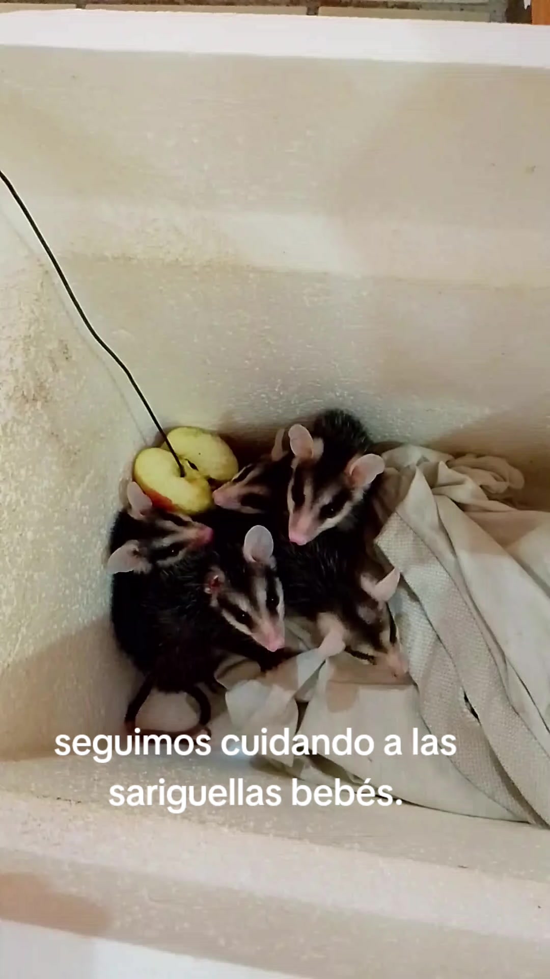 @Daniel Alba