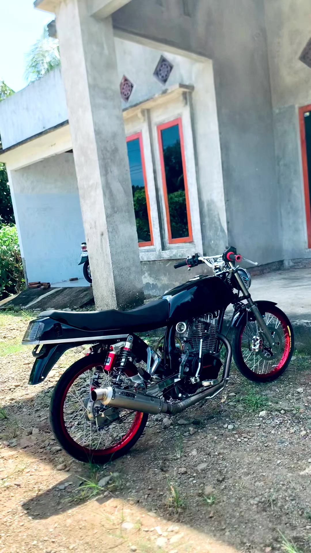 @barii.cibull