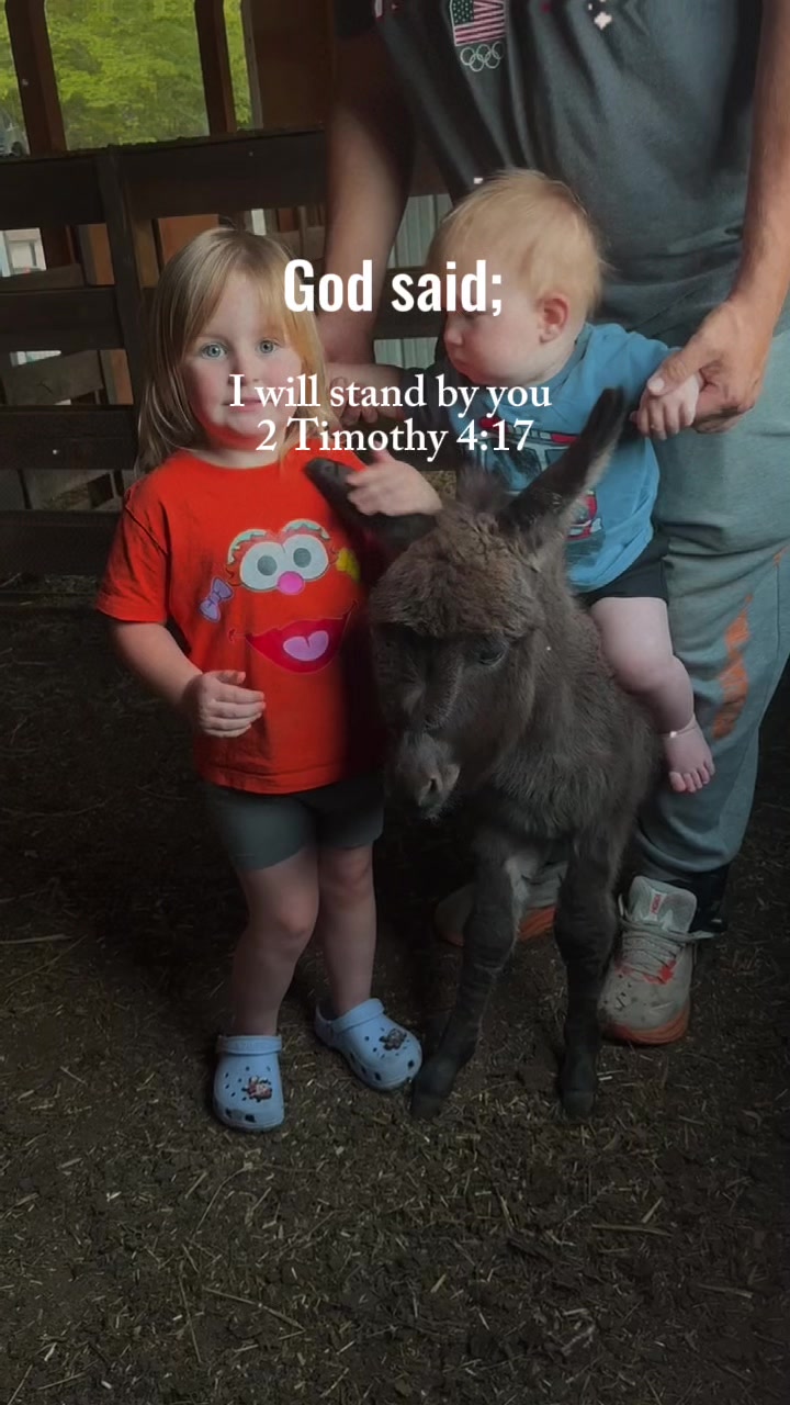 @TennesseeTedMiniFarm