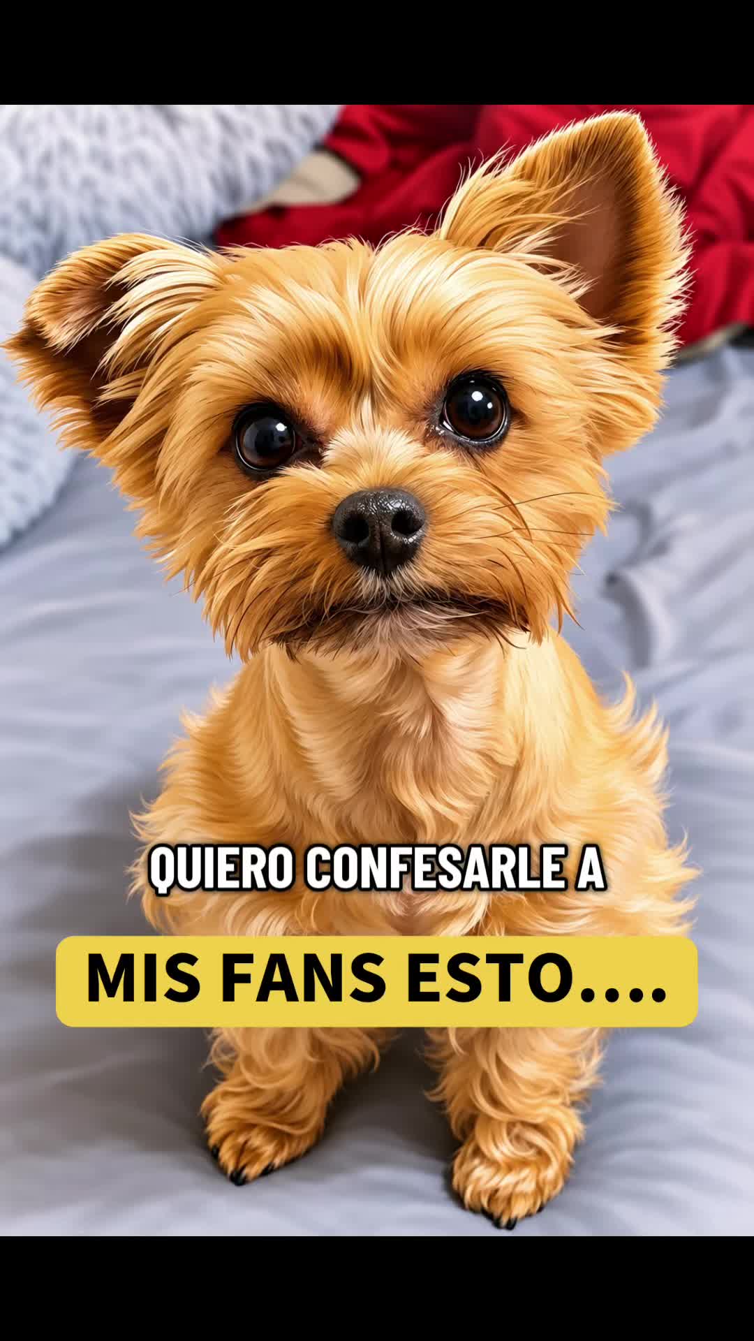 @mili_la_yorki
