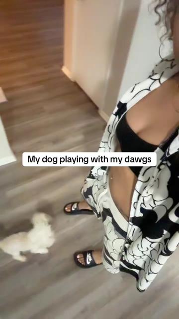 @issabellereign