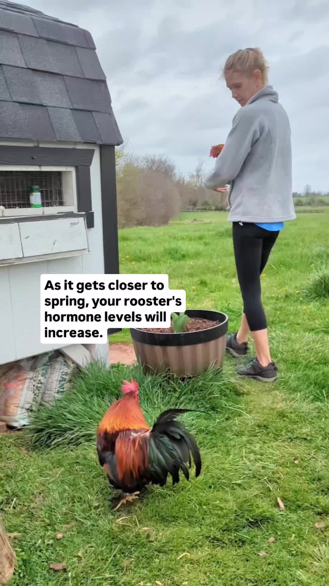 @Kelly Rutkowski