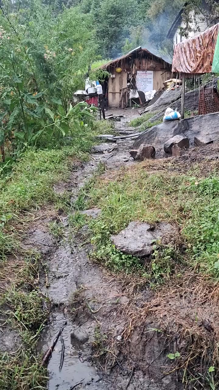 @Qatar 🇶🇦