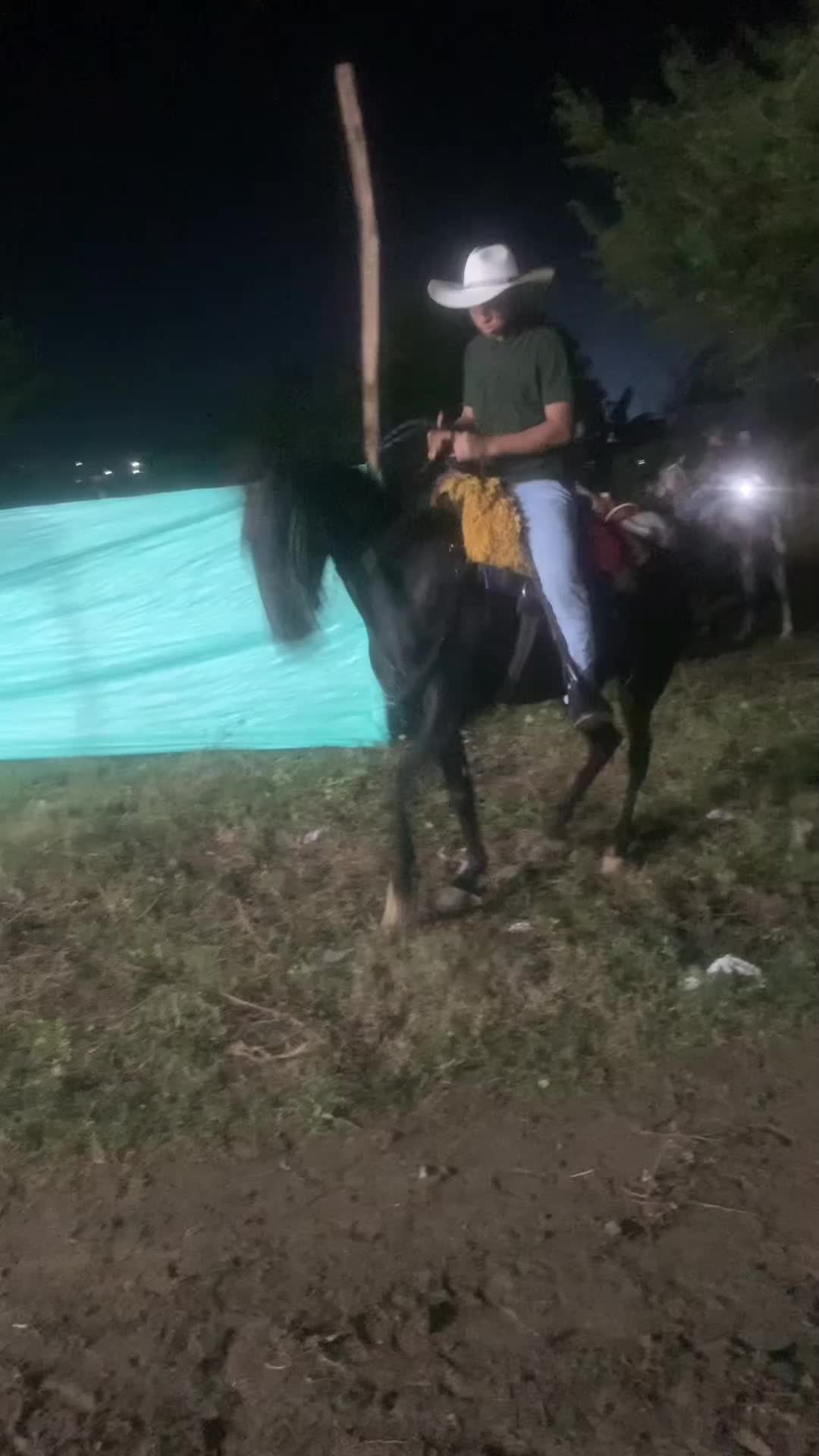 @jjulianbello