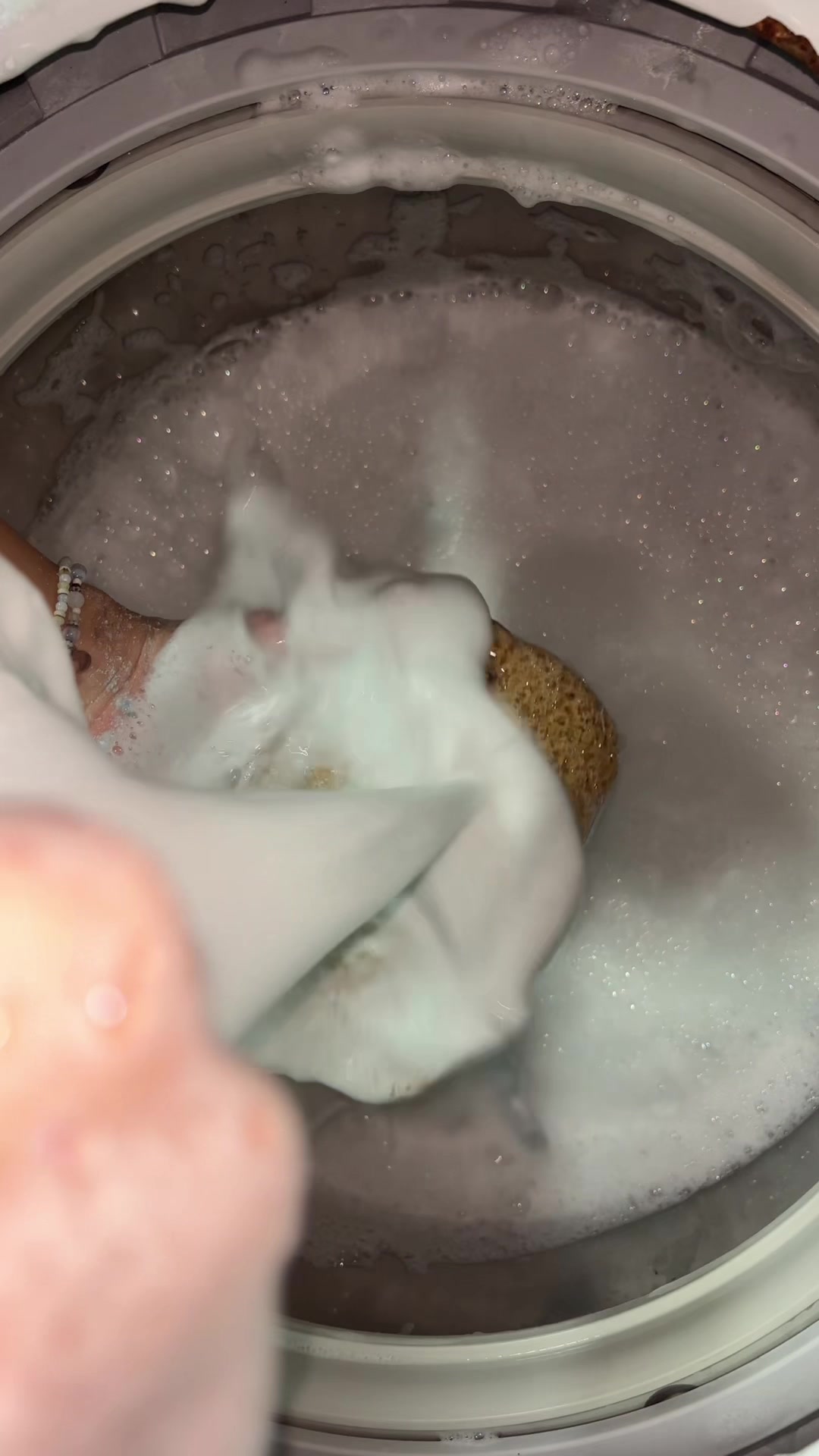 @laundry lizard 🦎