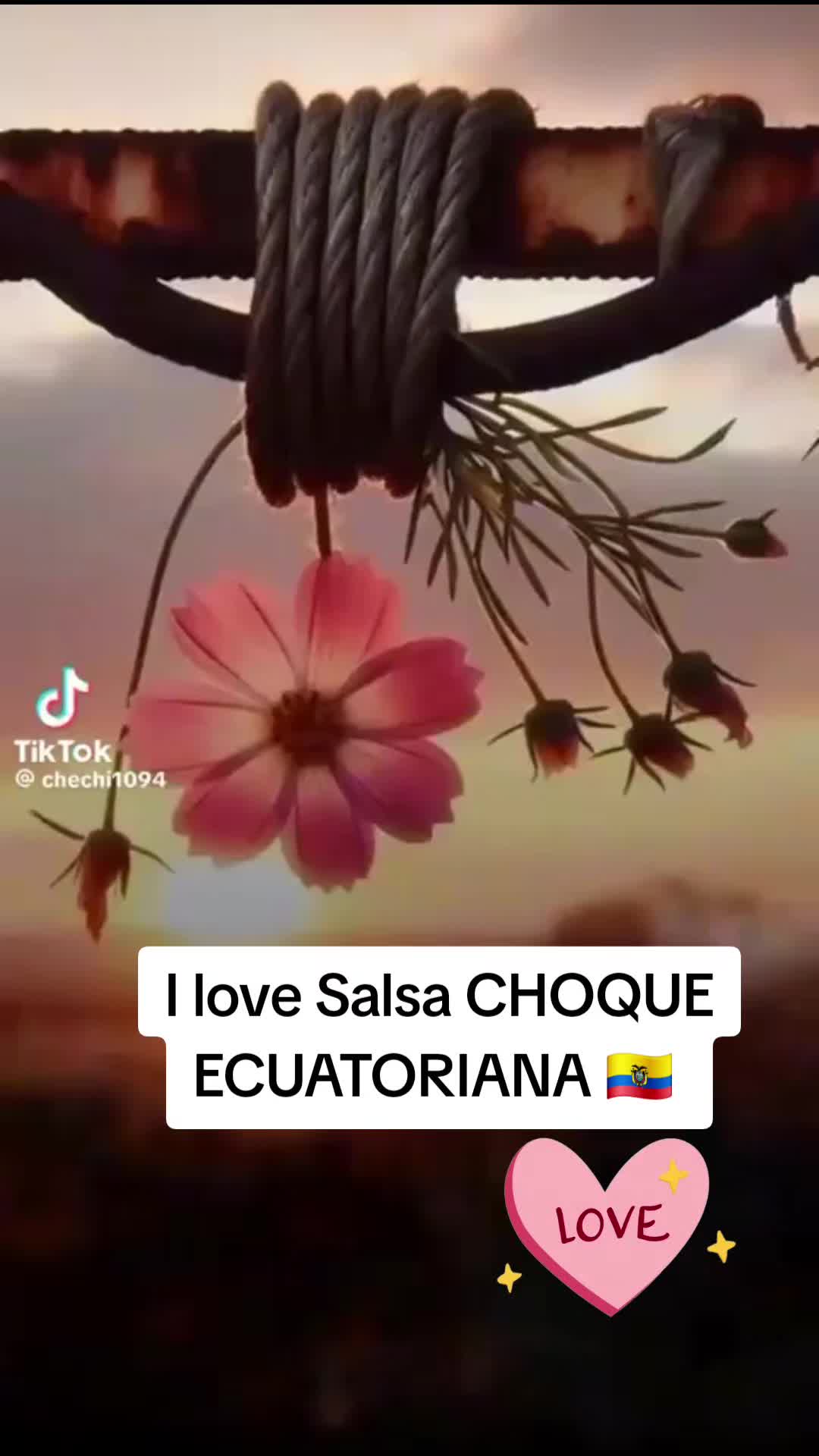 @Lucesita de Vidaoficial
