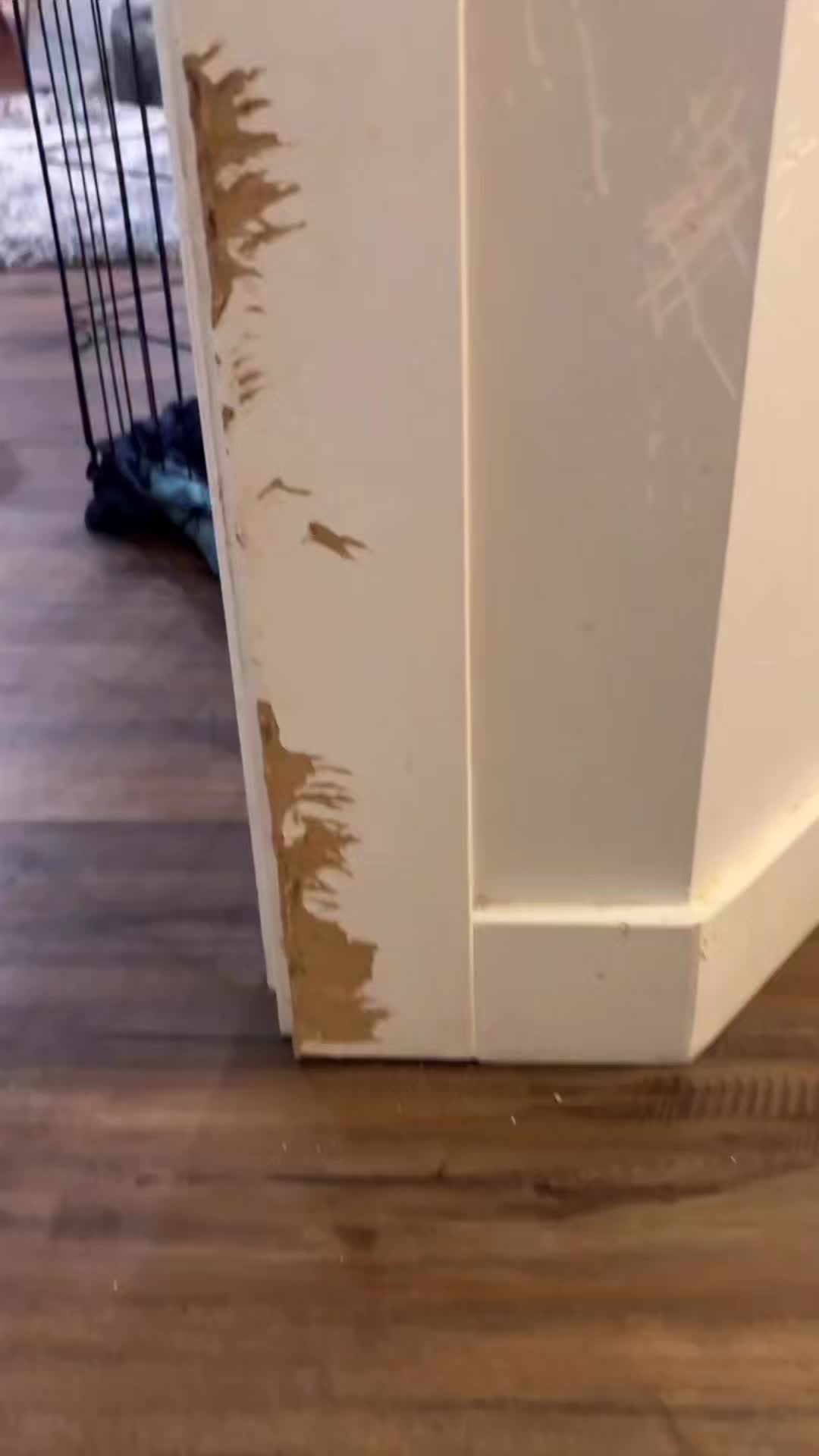@Crookedcitykennel