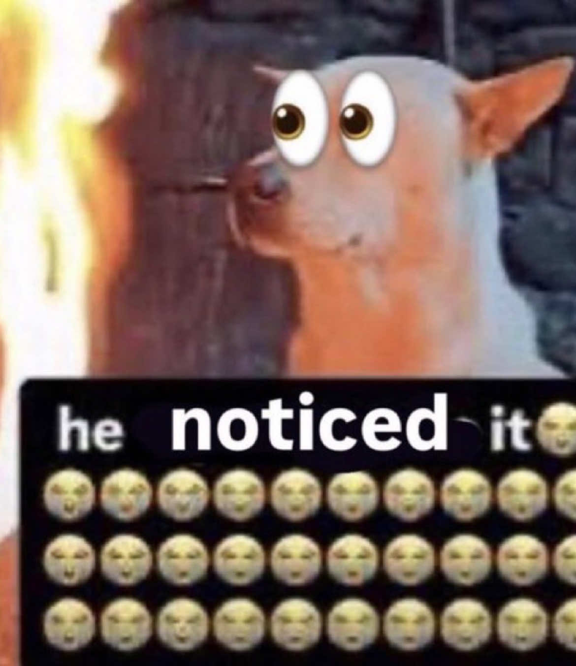@tamzzz