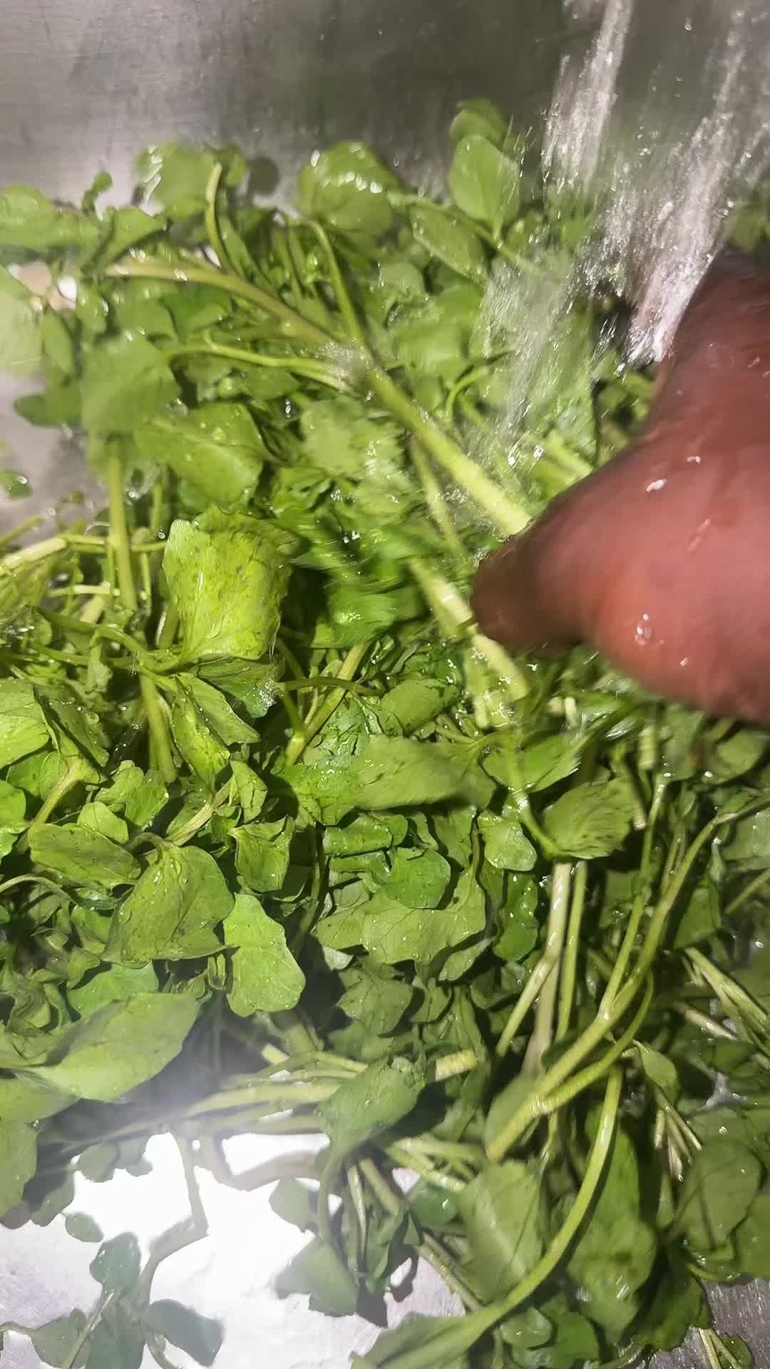@marithzagedeon7