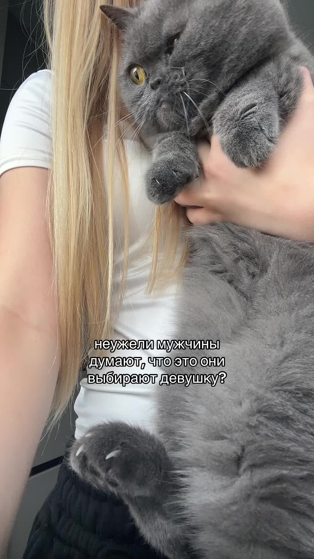 @тгк: daritkkis