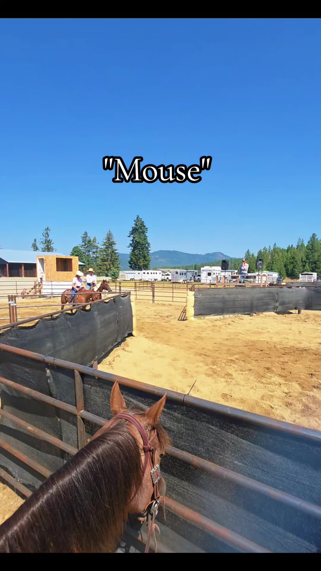 @🐴 ColdMountainRanch 🏇