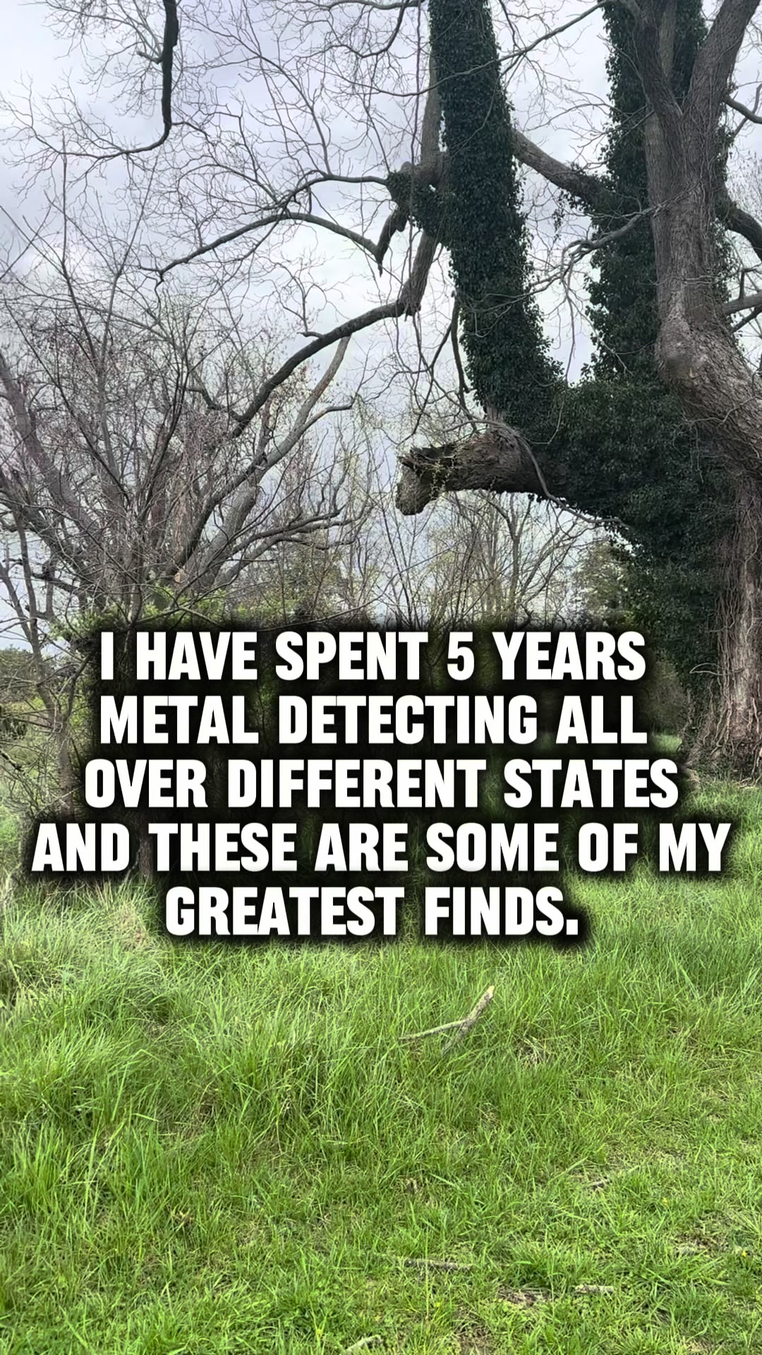 @Toolgardener