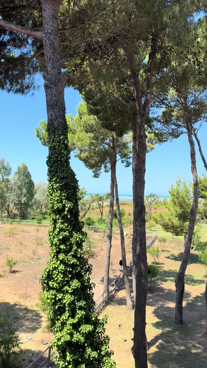 @DivjakaResort