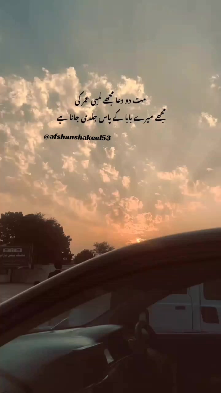 @afshanshakeel53
