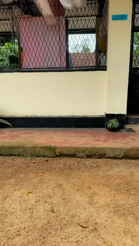 @Dikshya Devanshi🖤🌙