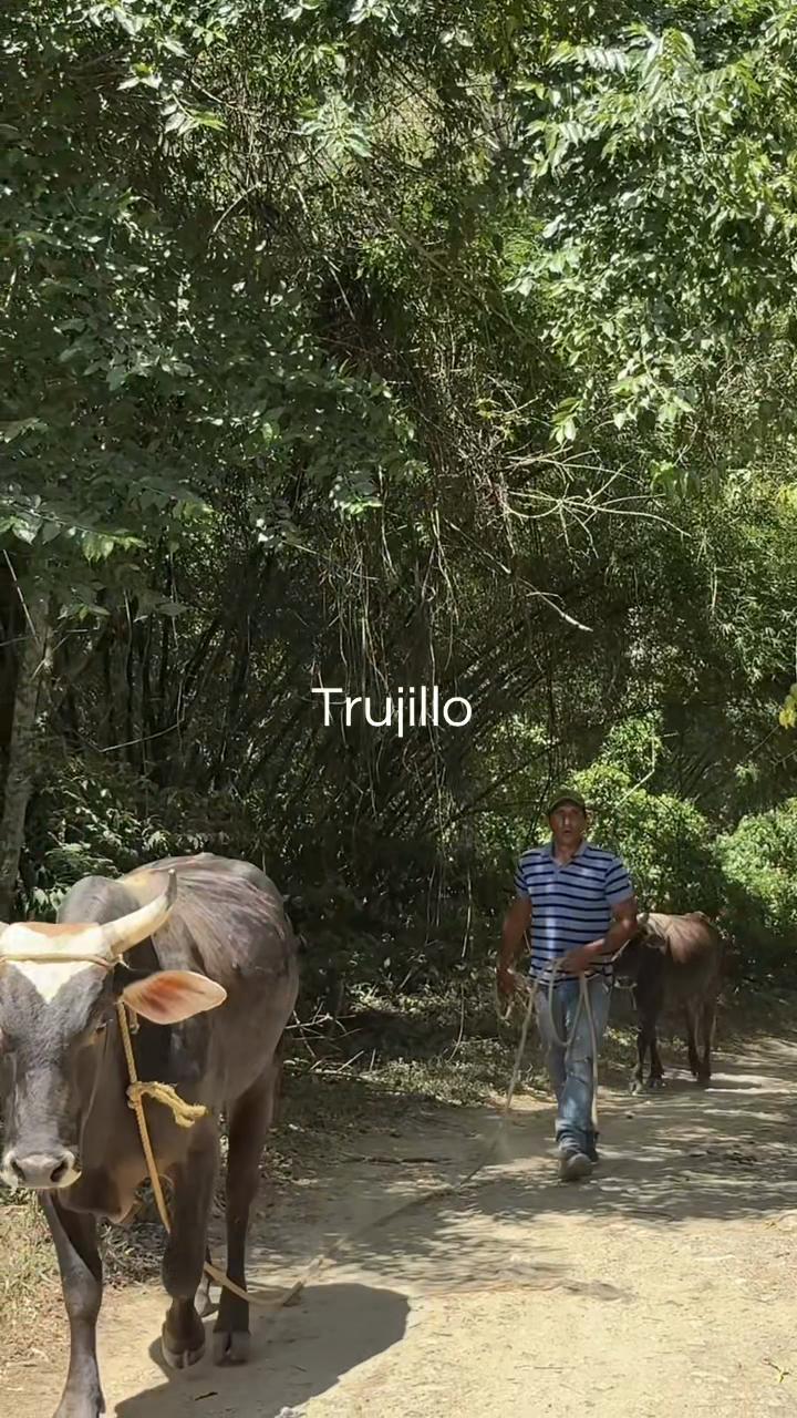 @Wilber Godoy