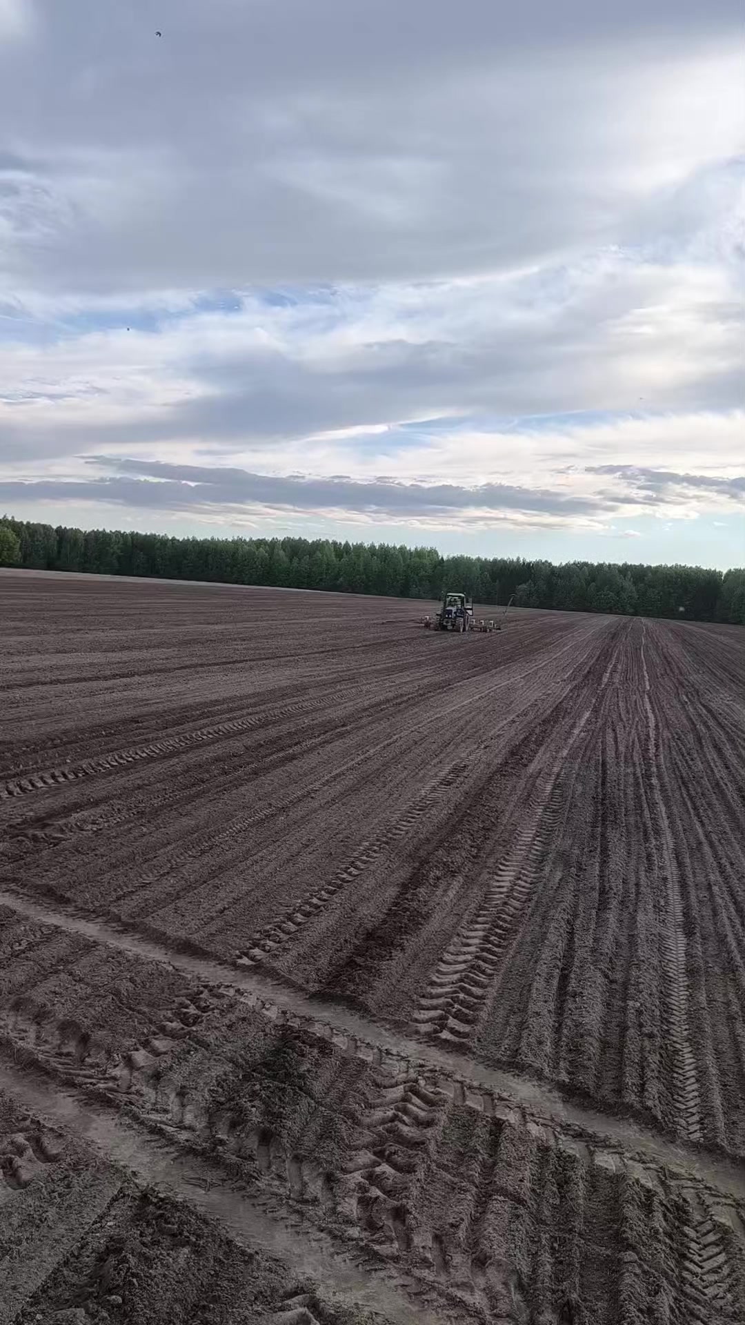 @🚜ⲇяⲇьⲕᥲ ᥲⲏⲧ𐔖ⲏ🚜