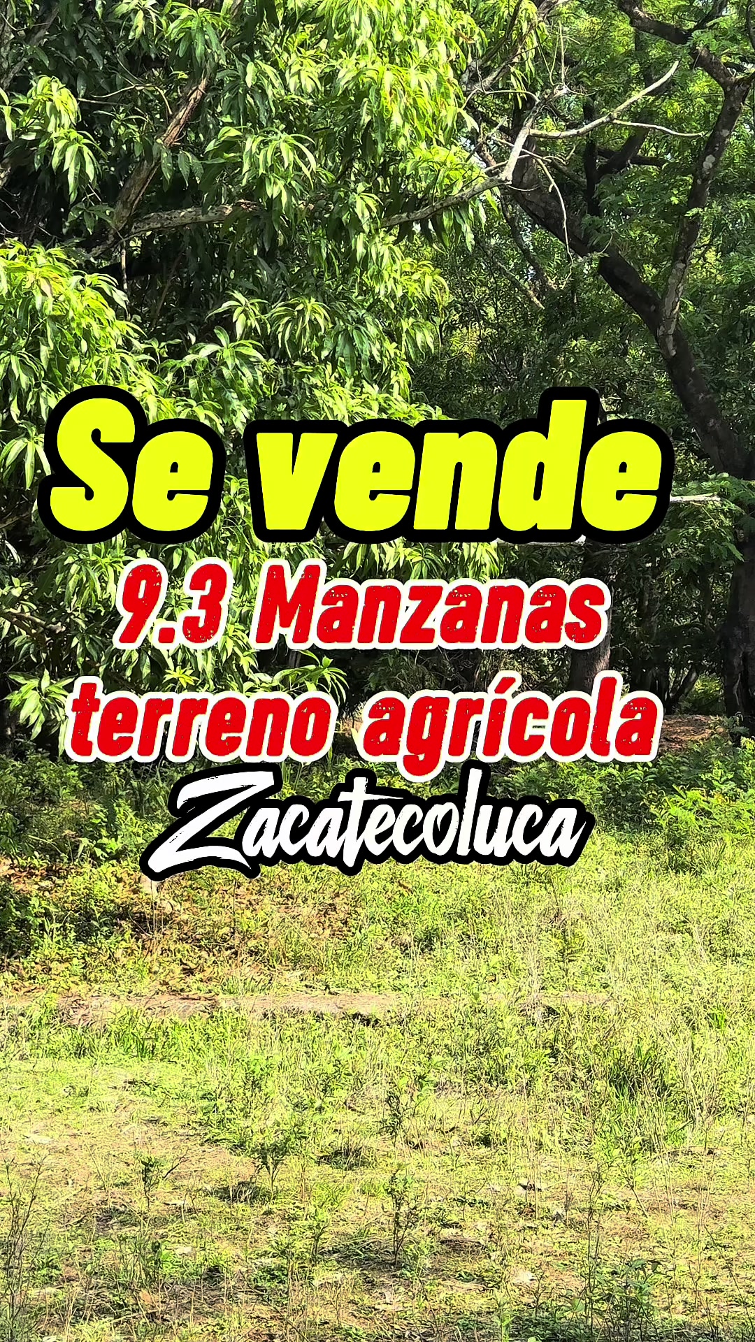 @Marco Ortiz🧸