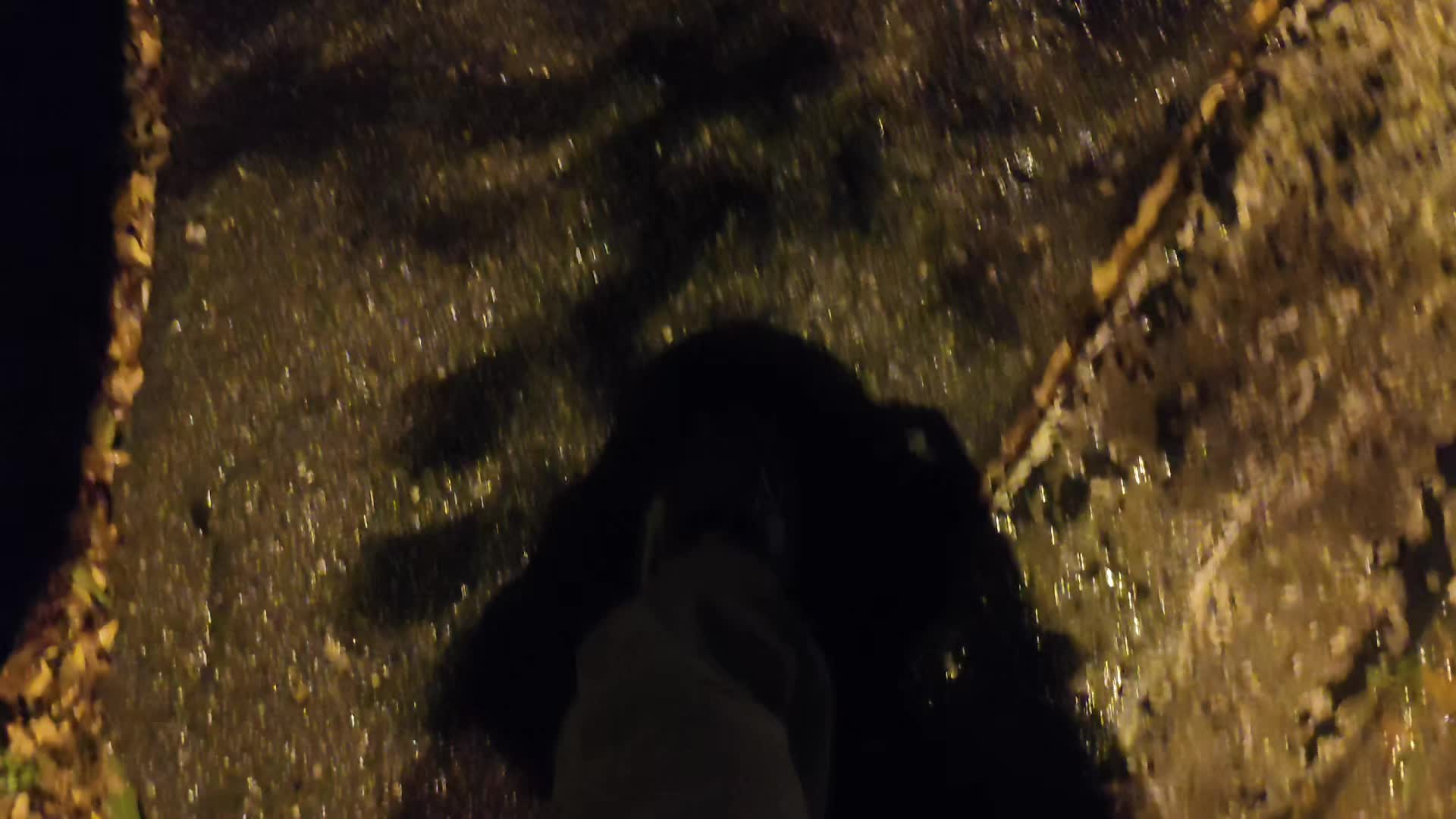 @князь котлетный