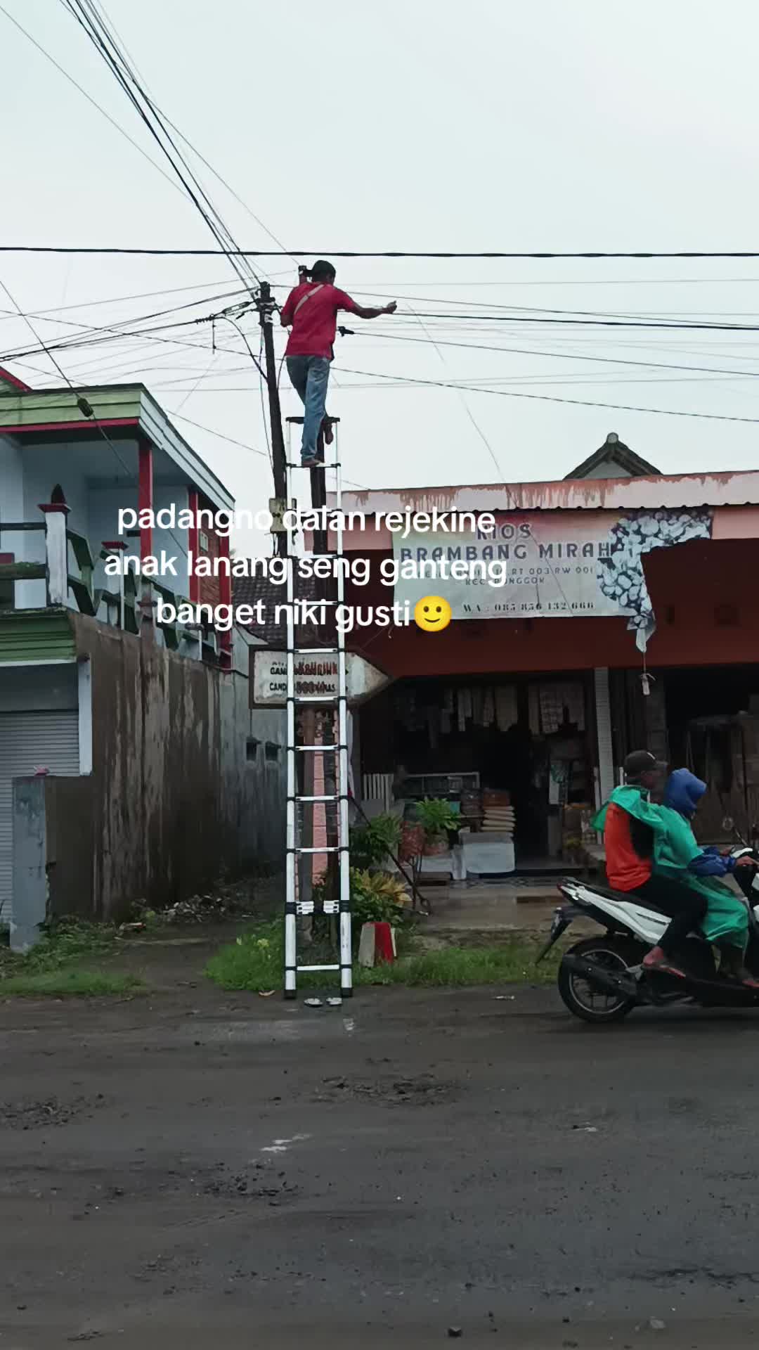 @𝘼𝙡𝙫𝙞𝙣