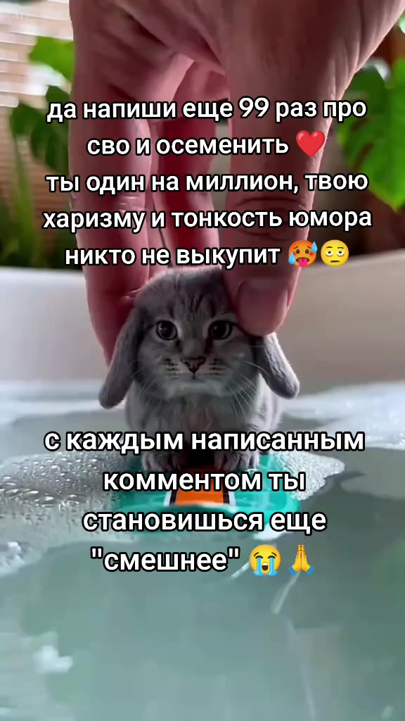 @волк с сво стрит