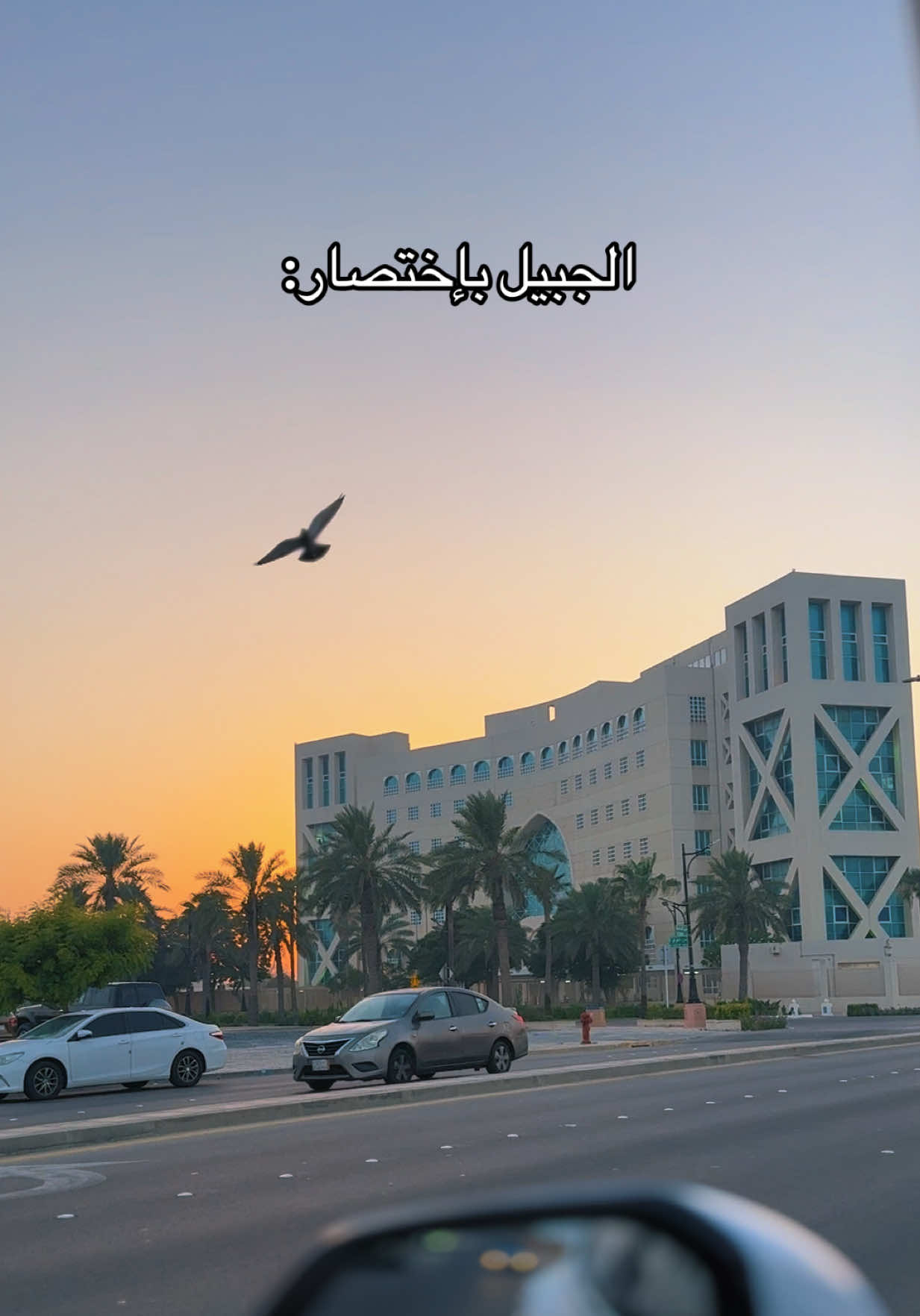 @ميشان دوت&bull;⭐️