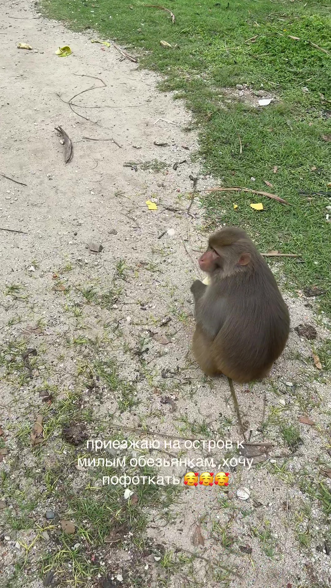 @анюта