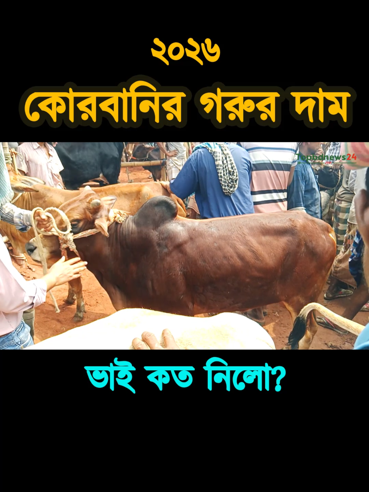 @Nayeem Islam