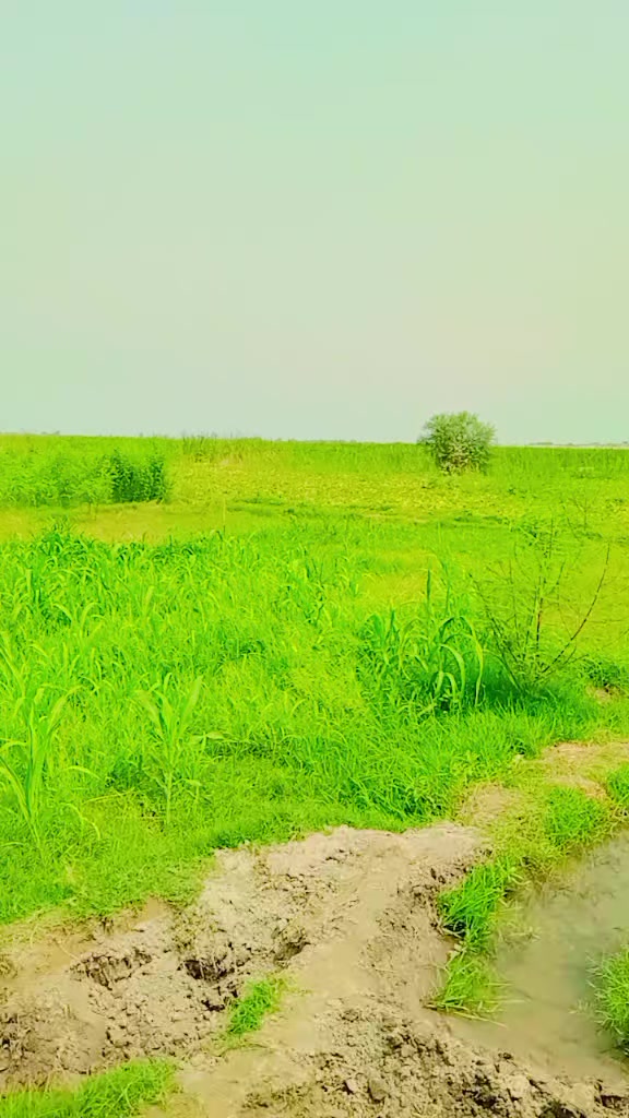 @❤❤گوپانگ بلوچ  ❤❤