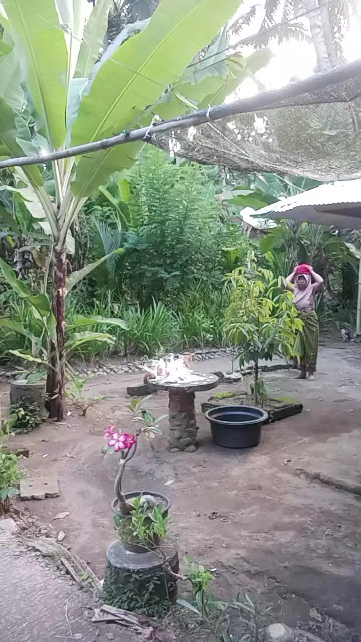 @JULIATIN 🥰