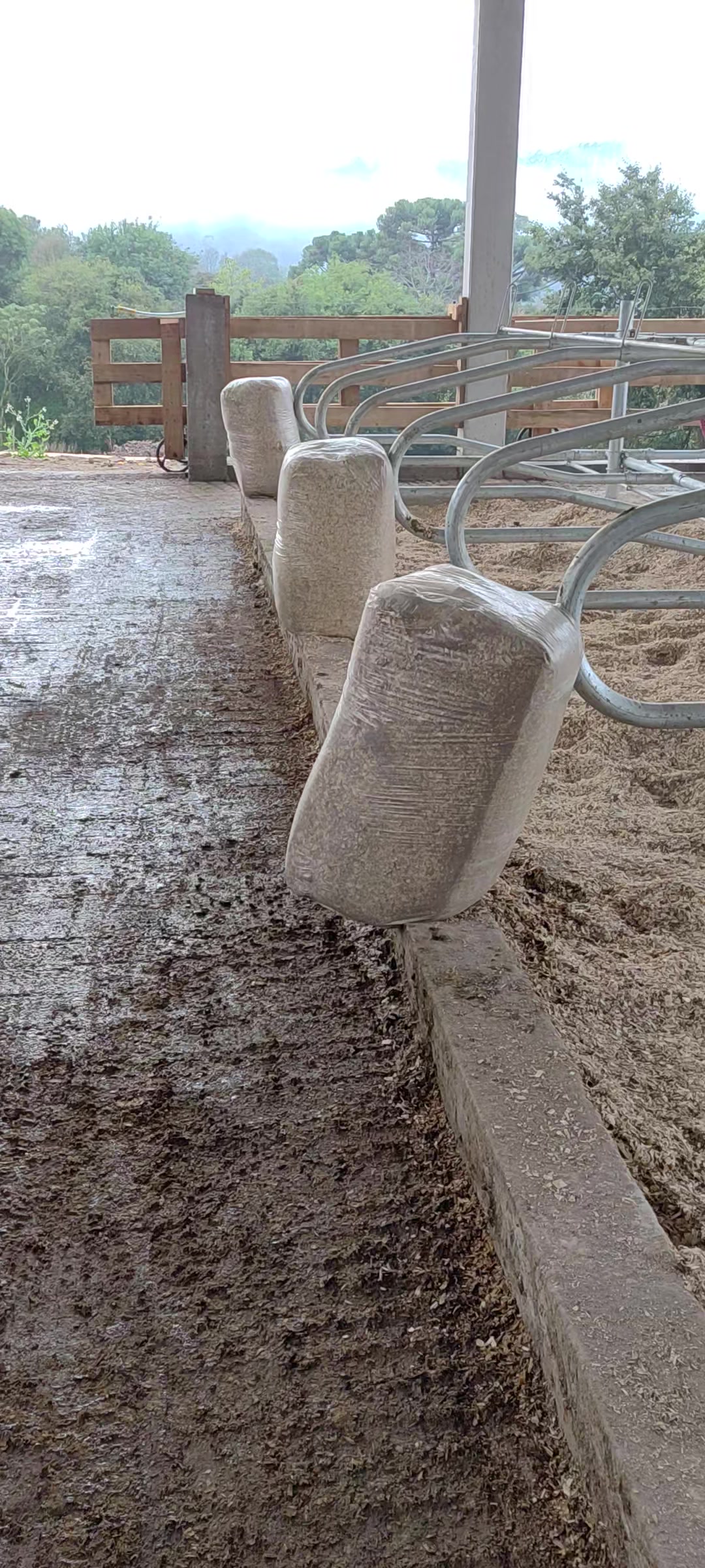 @agro é tudo beltrame