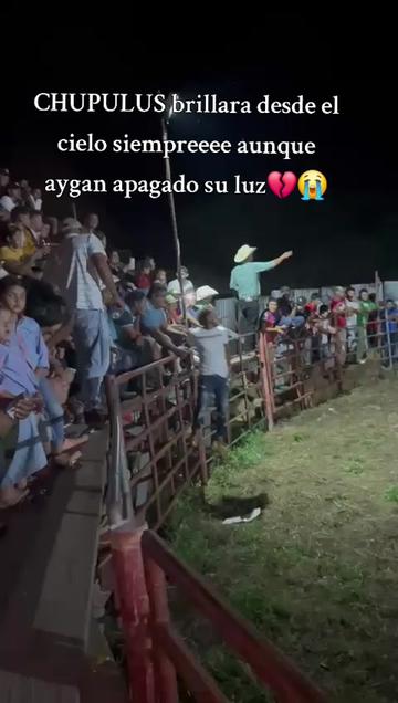 @Adrianaš¦š§š