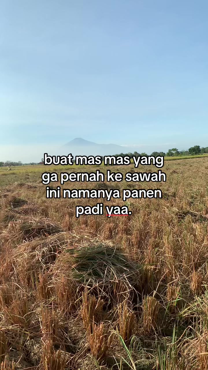 @Nopal Majalengka