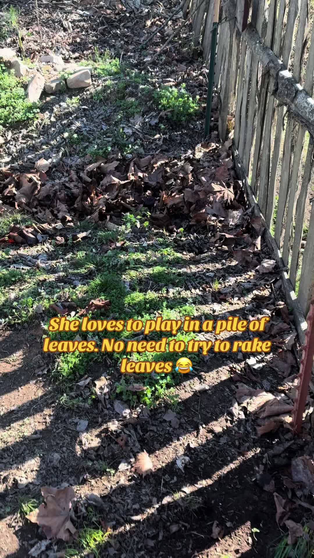 @Jo❌