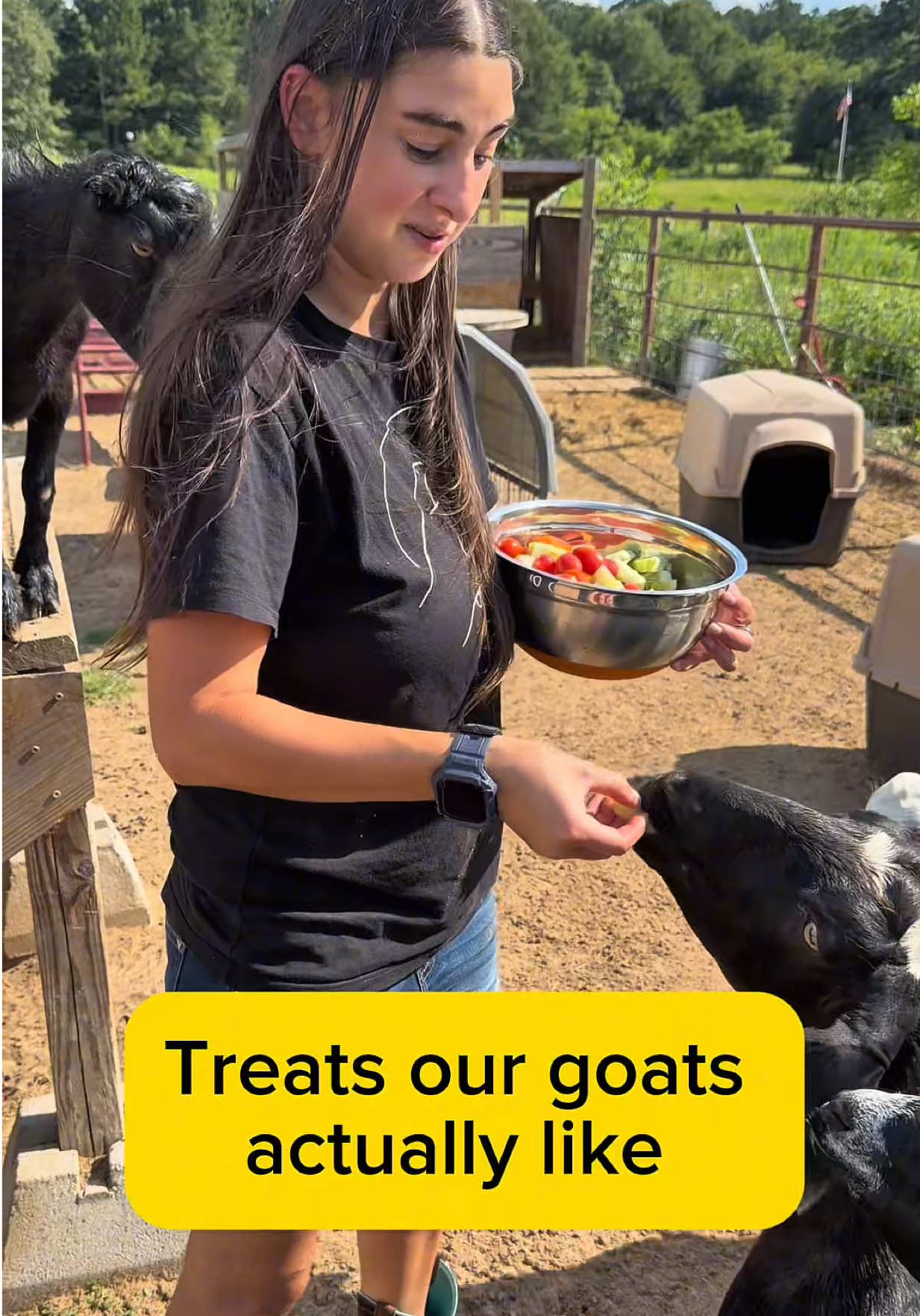 @Heart & Hoof Homestead
