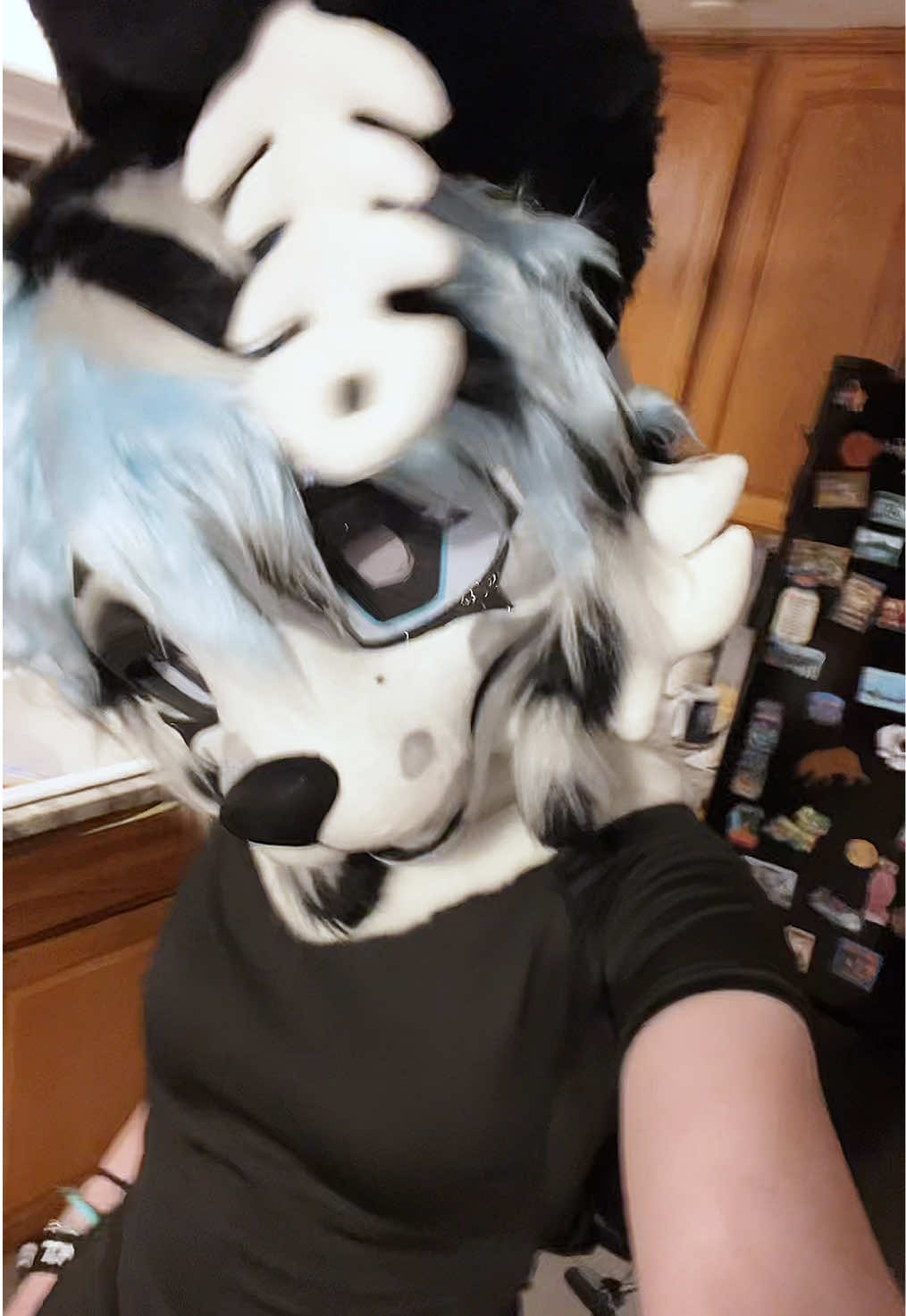 @Sc00T🔜FFF