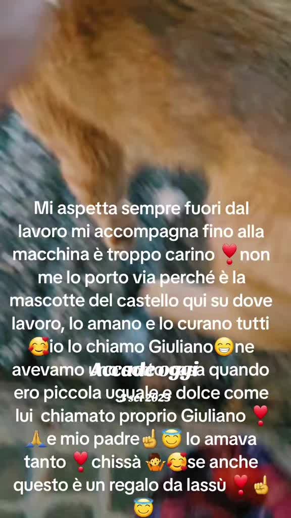 @titta_luna77