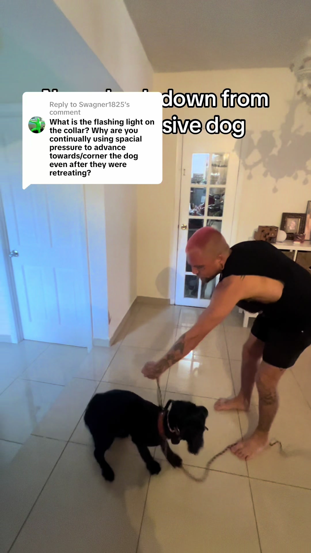 @balancedcanineacademy