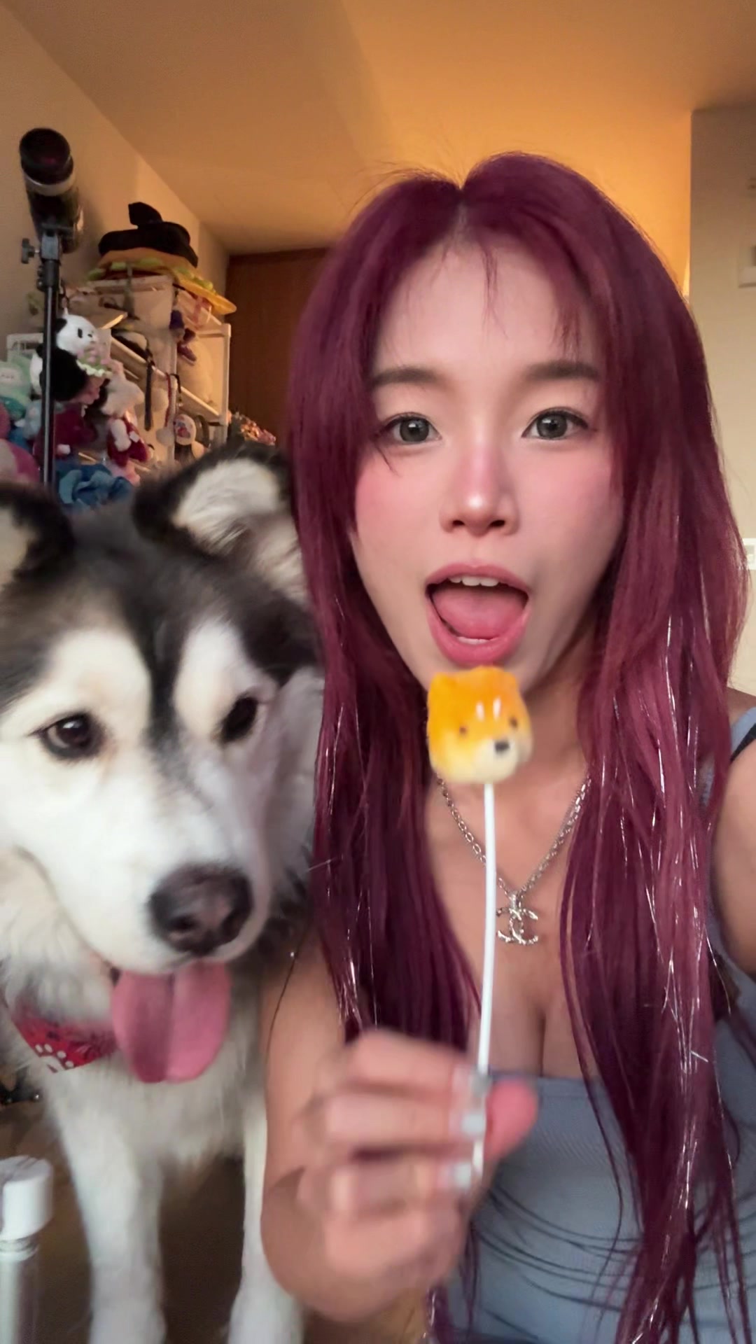 @SHULUN