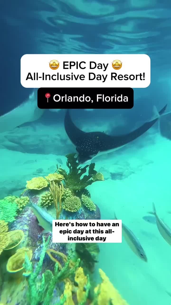 @thefloridaqueenie