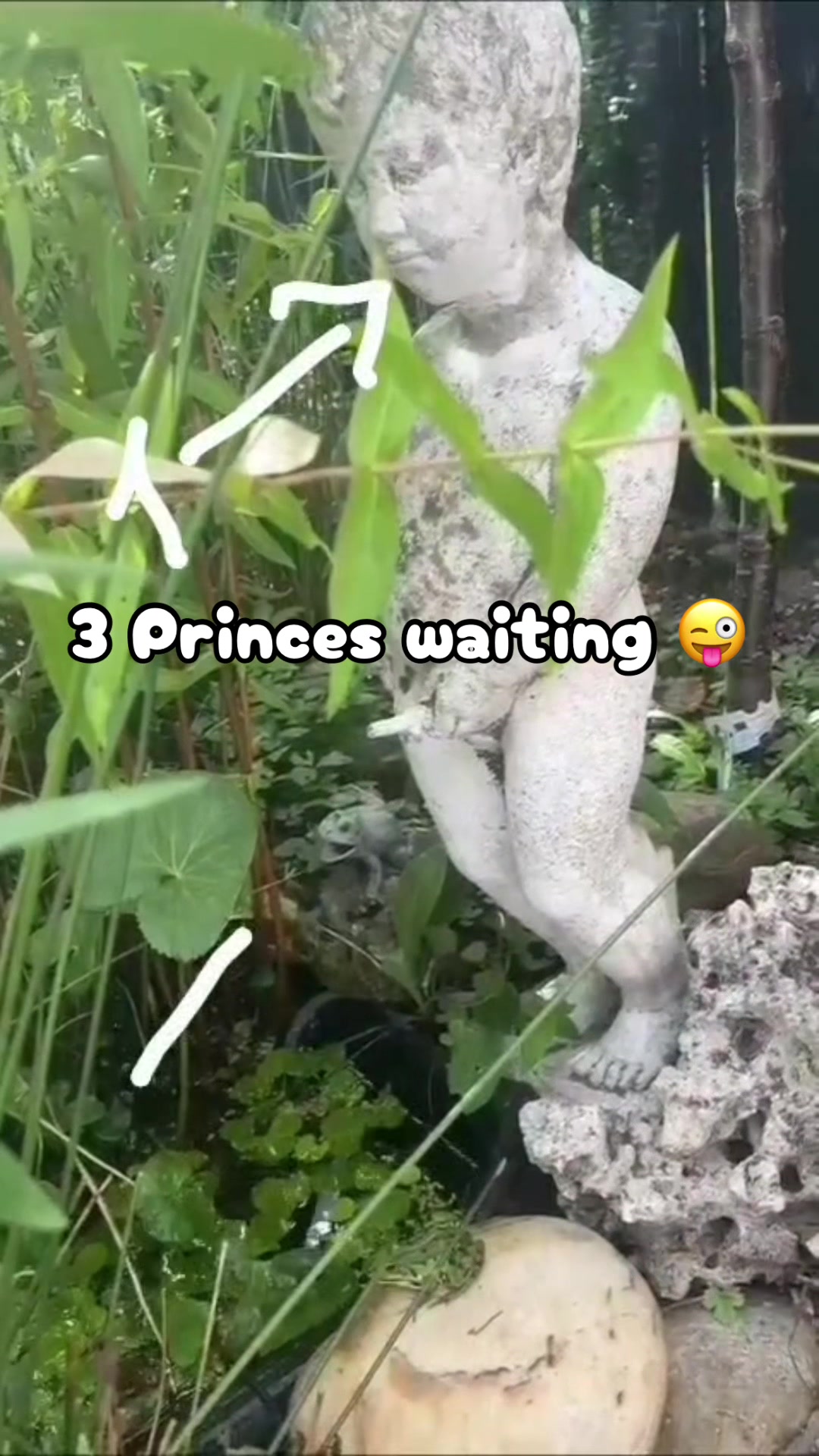 @binipini1