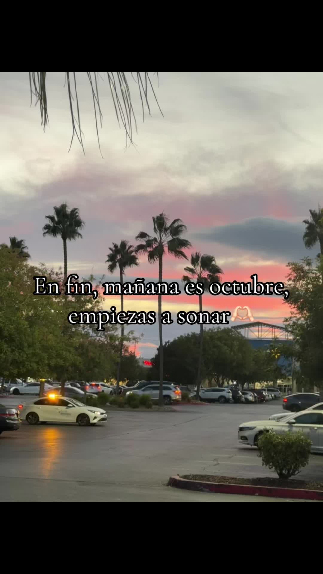 @Irma Chitic2