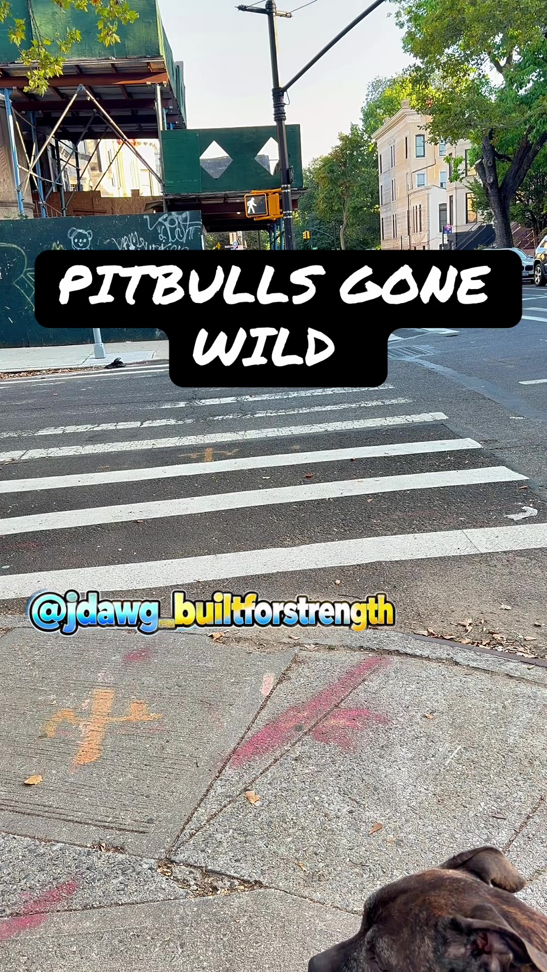 @jdawg_builtforstrength ❌76❌