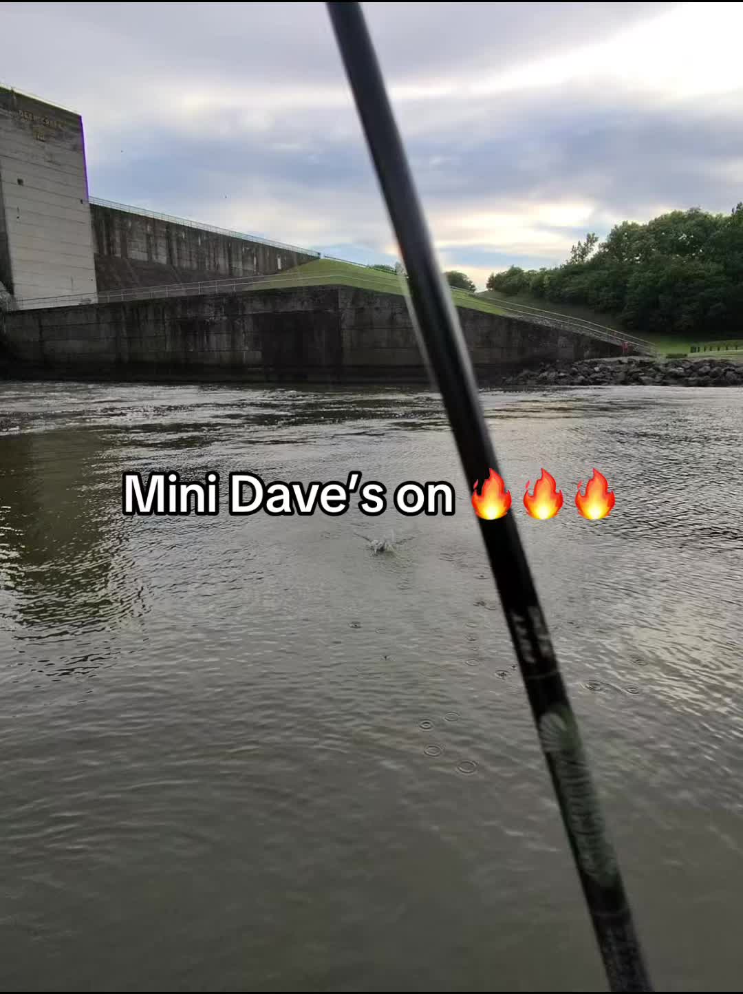 @Dave&rsquo;s Lazy Baits